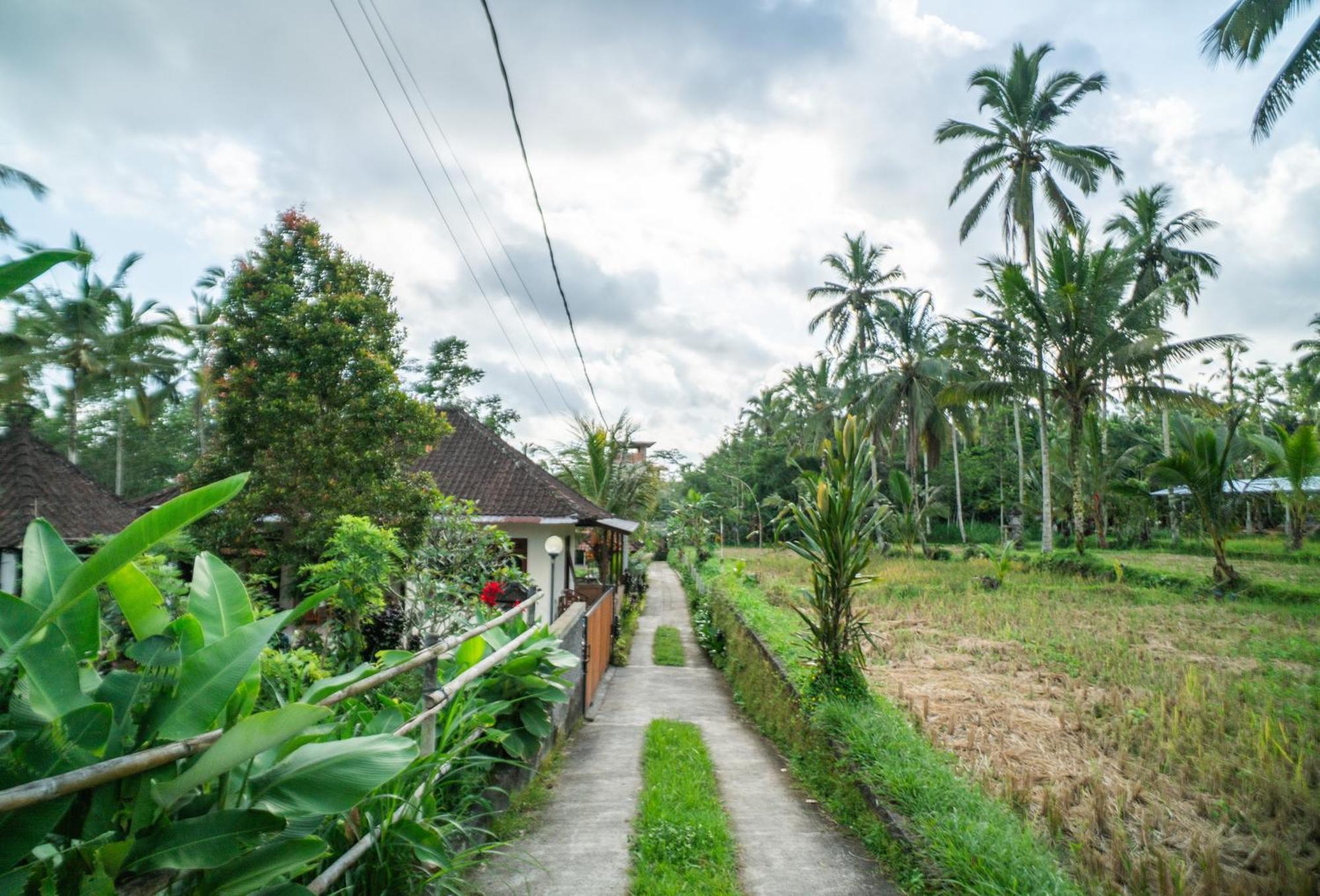 Prayatna Villas Ubud  Bagian luar foto